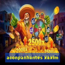 aconpanhantes xaxim